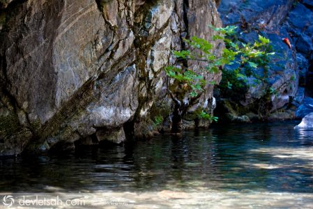 Altınoluk ve çevresinde…