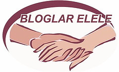 Bloglar Elele: İlk Proje