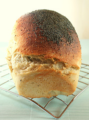 Haşhaşlı Ekmek