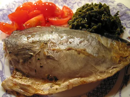 Mikrodalga Fırında Palamut