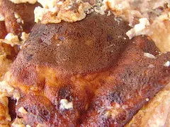Peynir Güzeli